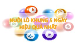 Cầu lô bạch thủ nuôi khung 5 ngày