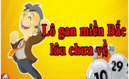 Áp dụng lô gan cực đại