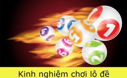 Những kinh nghiệm của tiền bối sẽ giúp ích cho bạn rất nhiều